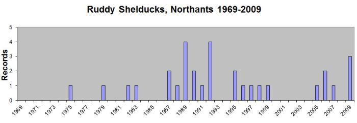 Ruddy Shelducks by Year