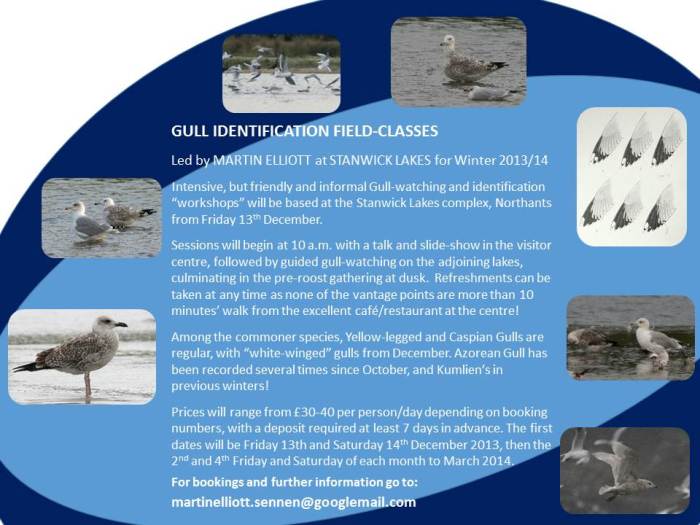 STANWICK LAKES PRESENTATION 4