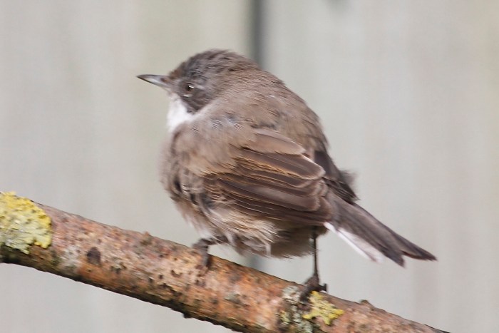 !cid_0E5171D5-9804-4779-97F9-E5DF0446781E