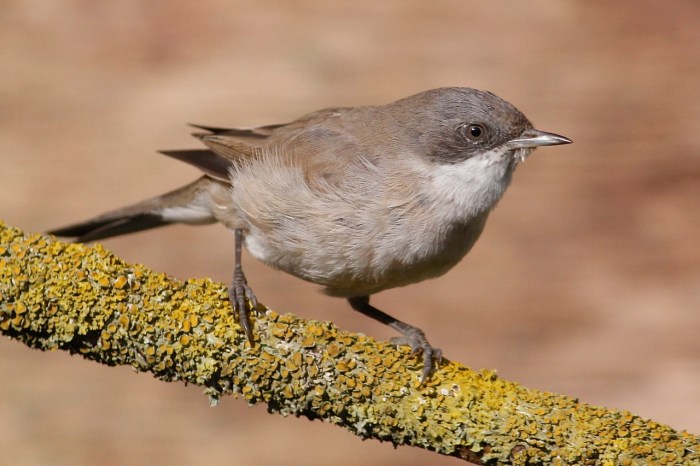 !cid_84C8967F-563F-4BB1-86AF-C1CE84A1EC60