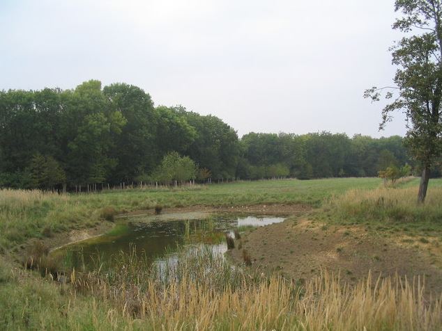 View from the wildlife hide, Fineshade Wood (Tim Heaton, Wikimedia Commons). Views expressed in the accompanying text are not necessarily those of the photographer.
