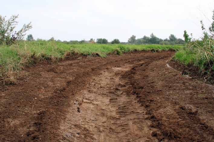 'Ditch 1' (Ian Wilson)