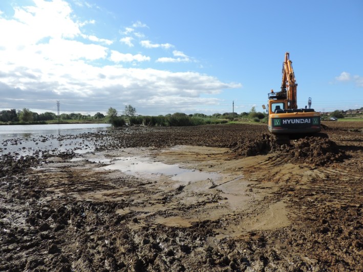 Scraping (Steve Brayshaw)