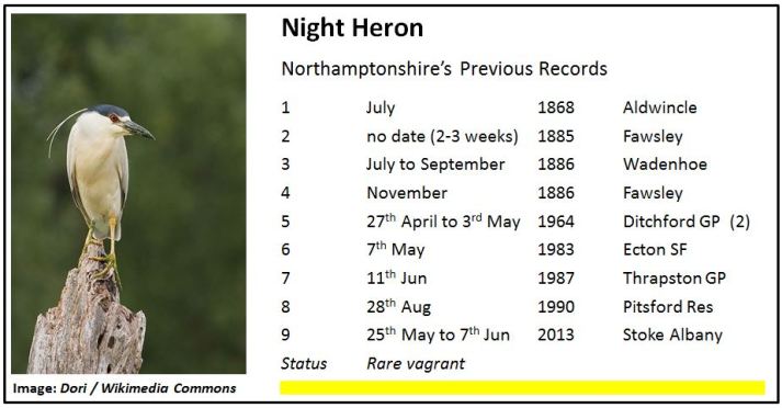 Night Heron Northamptonshire Records