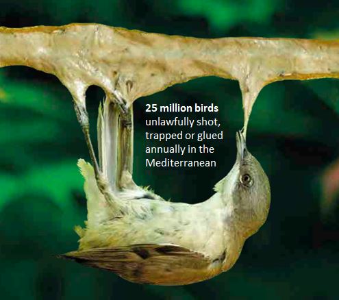 Shock image for Twitter