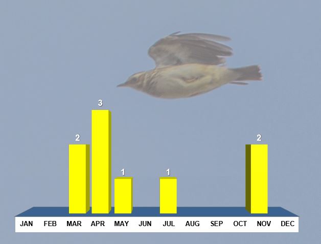 Northamptonshire Woodlarks, distribution of records post-1969 by month. Background image Woodlark (Ron Knight/Wikimedia Commons)